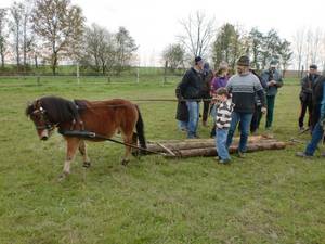 Einsatz der Pferdekraft in der Landwirtschaft
